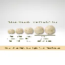 Makhana Size Guide.webp